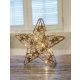 CHRSTGS14GWW LED karácsonyi csillag, arany,fém, elemes (X22038)