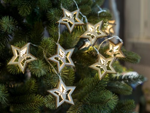 CHRSTSTW10WW LED karácsonyi lánc, csillag,szarvas, fa, elemes (X22052)