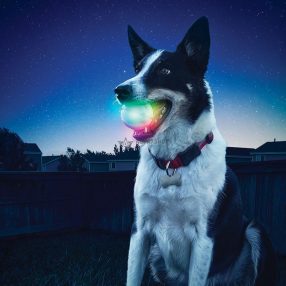 GlowStreak LED labda, disco