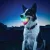 GlowStreak® LED labda - DISC-O