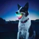 GlowStreak® LED labda - DISC-O