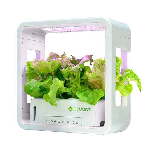 GrowGreen aszpara okoscserép Stylist Lite Smart Grower