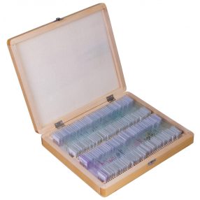   Bresser előkészített tárgylemez készlet 100 darabos, tokkal