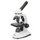 Levenhuk Discovery Nano mikroszkóp