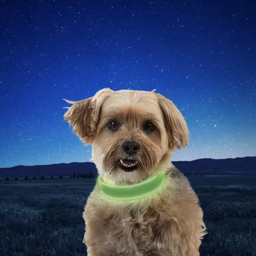 Nitedog® tölthető -nyakörv - S - Lime/Green LED