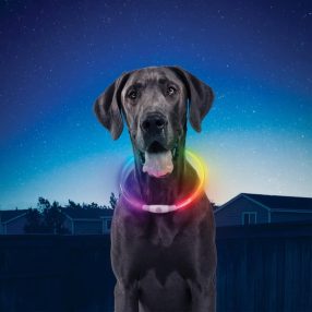   Nitehowl® Mini tölthető láthatósági nyakpánt - DISC -O Select™