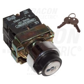   Tokozott kulcsos kapcsoló, fémalap, bal-jobb KI, kétállású