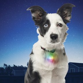 PSLG-07-R6 SpotLit® nyakörv lámpa - DISC -O Select™