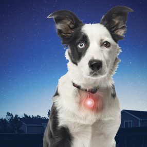 PSLG-10-R6 SpotLit® nyakörv lámpa, piros