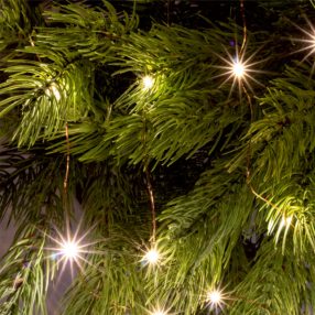   Home ML 50/WW micro LED-es fényfüzér, 4,9 m / 50 db melegfehér micro LED, állófényű, kapcsolható és időzíthető, átlátszó vezeték, elemes, beltéri kivitel