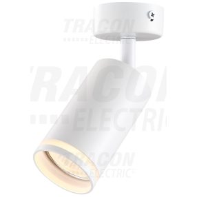 Mennyezeti állítható spot lámpatest, fehér