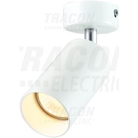 Mennyezeti állítható spot lámpatest, fehér