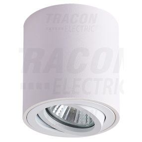 Mennyezeti spot lámpatest, hengeres, dönthető, fehér